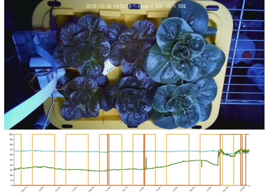 CEA Hydroponics