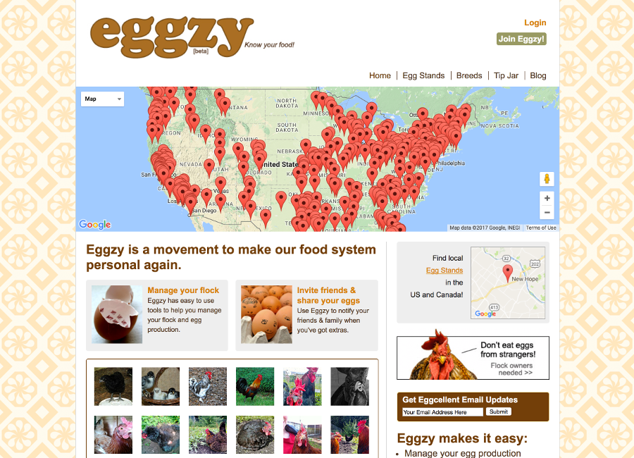 Eggzy.net